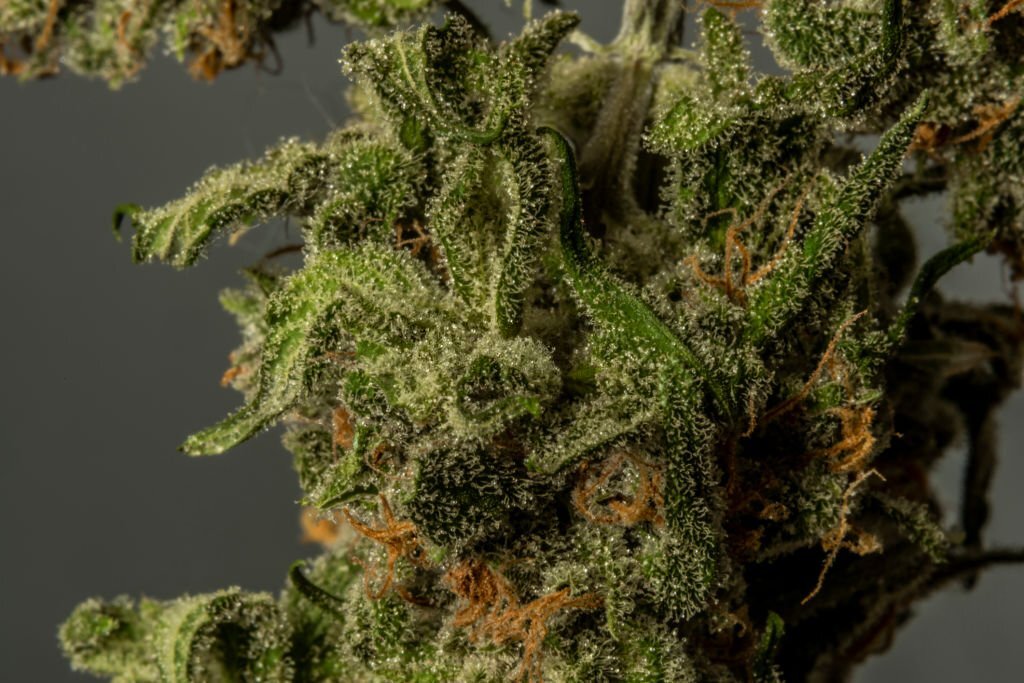 How to Use Terpenes with Dry Flower
